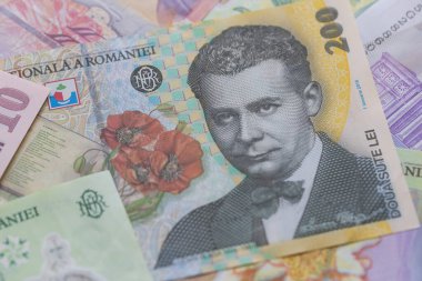 Romen Leu Banknotlarının Düz Döşeme Kompozisyonu