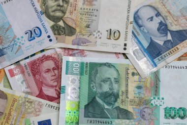Bulgar Lev ve Euro Banknotlarının Karışımı