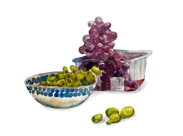 Üzüm suluboya. Çeşitli yeşil ve mor muscat üzümleri.