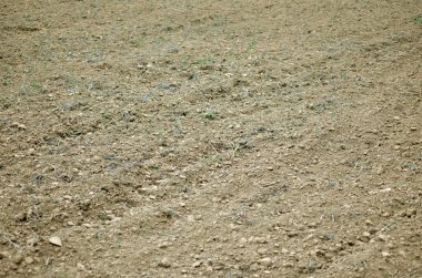 Topraklanmış tarlalar ekime hazır, tarımsal arkaplana yakın çekim