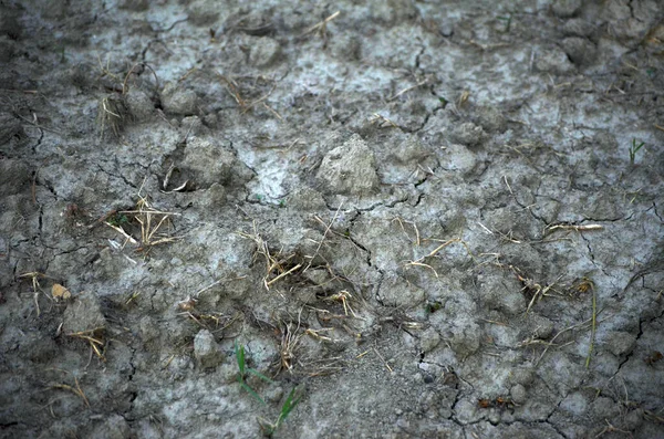 干燥的土壤质地 干土壤质地背景的封堵 — 图库照片
