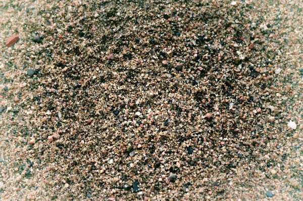 Küçük Çakıl Taşları Kabukları Ile Kum Dokusu Arkaplanını Kapat — Stok fotoğraf