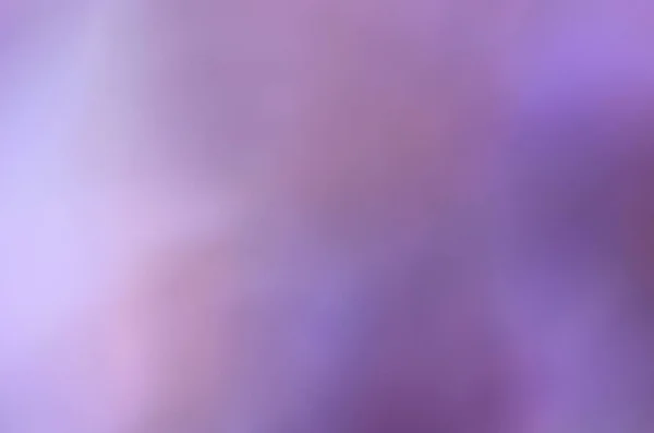 Фиолетовый Фон Боке Природы Тени Деревьев Фото Складе — стоковое фото