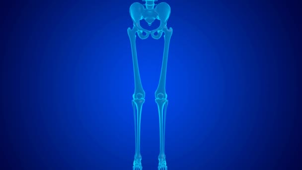 软骨磨损引起的蓝色全息图膝关节疼痛 3D动画 — 图库视频影像