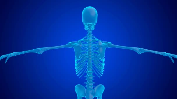 Holograma Azul Dolor Cervical Humano Causado Por Compresión Las Vértebras — Vídeo de stock
