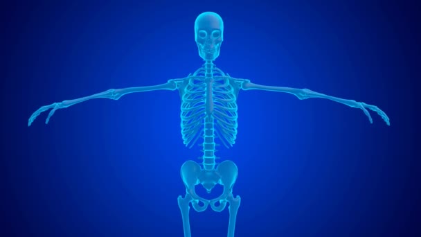 青ホログラム肩関節痛軟骨の摩耗や涙によって引き起こされます 3Dアニメーション — ストック動画