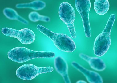 Bakteri Clostridium tetani büyütülmüş mikroskop altında tetanos hastalığına neden olur. 3d illüstrasyon