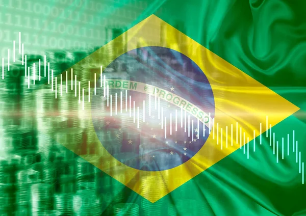 Brazilië Economische Financiële Indicatoren Wisselkoersschommeling Beurscrisis Illustratie Rechtenvrije Stockfoto's
