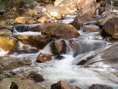 Beautiful waterfall with blurred crystalline waters photographed in long exposure. Selective Focus