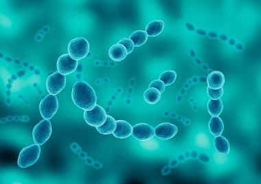 Leuconostoc Kolonisi lahana mayalanmasından sorumlu laktik asit bakterisidir. 3B illüstrasyon