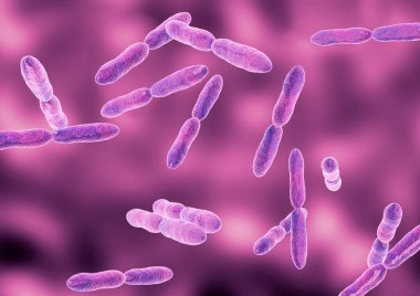 Klebsiella, zatürree, kan dolaşımı enfeksiyonları ve menenjit gibi farklı enfeksiyonlara yol açabilen ilaca dayanıklı bir bakteridir. 3B illüstrasyon