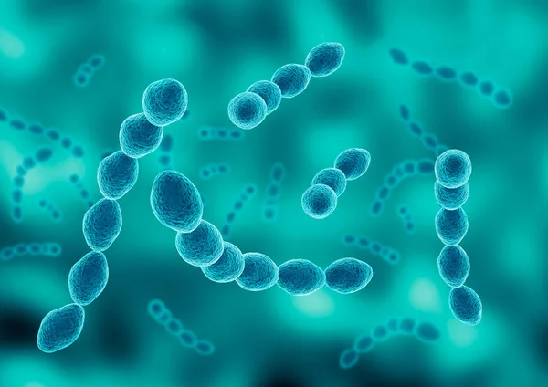 Leuconostoc Colony Jest Bakterią Kwasu Mlekowego Odpowiedzialną Fermentację Kapusty Kiszonej — Zdjęcie stockowe