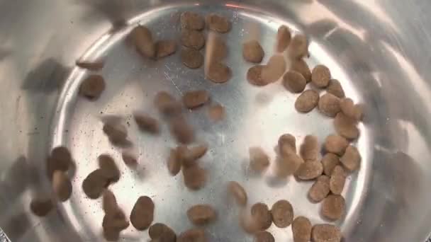 Kahverengi Köpek Maması Taneleri Alüminyum Tencereye Düşüyor Üst Görünüm — Stok video