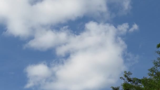 Тімелапсе Білі Хмари Рухають Блакитне Небо Хмарний Пейзаж Синє Небо — стокове відео