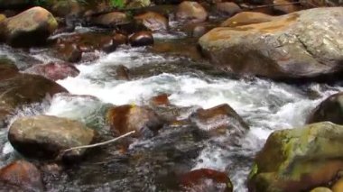 Dağlardan akan temiz nehir suları kayaların arasında küçük şelaleler oluşturuyor.