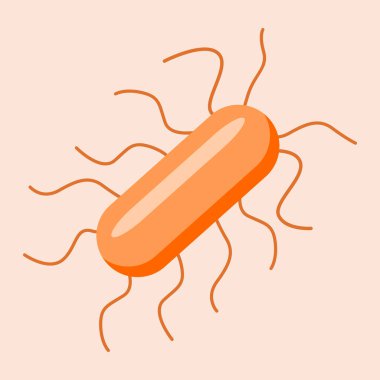 Listeria monocytogene, insan ve hayvanlarda listeriozdan sorumlu bir patojenik bakteridir. 2B illüstrasyon