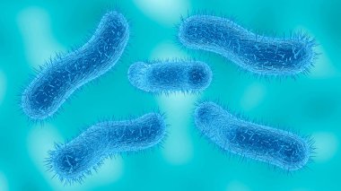 Shigella bakterisinin mikroskobik görüntüsü Shigellosis denen bir hastalığa neden oluyor. 3B illüstrasyon