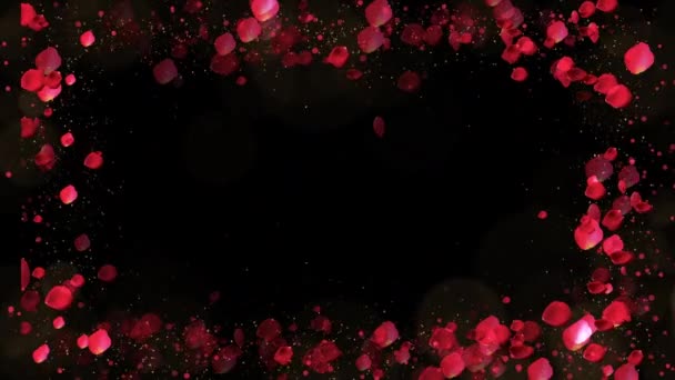 Cornice Petali Rosa Con Luci Particelle Sfondo Nero San Valentino — Video Stock