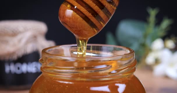 Honey Spoon Coming Out Jar Full Honey Slow Motion Honey — Stock Video