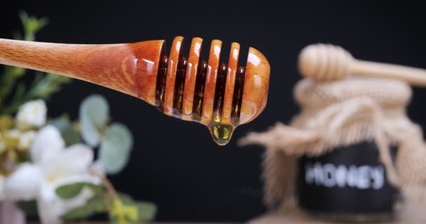 Drop Honey Dripping Spoon Black Background Slow Motion Honey Contains — Stock Video