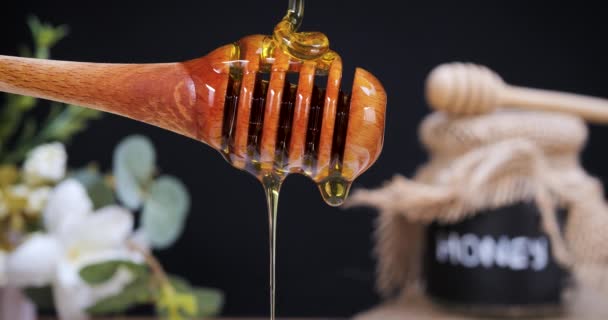 ハニードロップ 蜂蜜はゆっくりとした動きでスプーンに注いだ 蜂蜜は多くの栄養素 抗酸化物質が含まれており 心臓の健康 創傷ケアを改善し 抗うつ薬と抗不安効果を提供しています — ストック動画