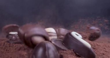 Çikolatalı pralinler siyah arka planda kakao tozuna dökülüyor. Şeker konsepti tüketimi. 