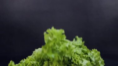 Siyah arka plana düşen taze marul. Sağlıklı çiğ organik yiyecekler, vitaminler, sebze konsepti. Yavaş çekim 4k