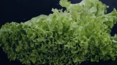 Siyah arka plana düşen taze marul. Sağlıklı çiğ organik yiyecekler, vitaminler, sebze konsepti. Yavaş çekim 4k