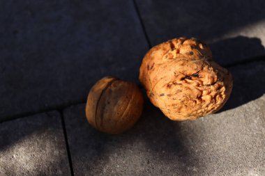 Küçük ve büyük cevizler. Farklı bir kavram. Sağlıklı yemek. .