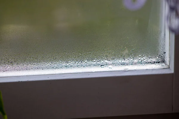 폭우가 쏟아진 응축이나 증기로 창문을 플라스틱 과검은 곰팡이의 — 스톡 사진