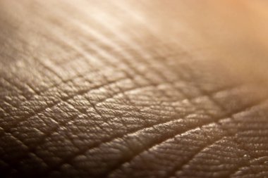 Tıp ve dermatoloji konsepti. İnsan derisi arkaplanının ayrıntıları.