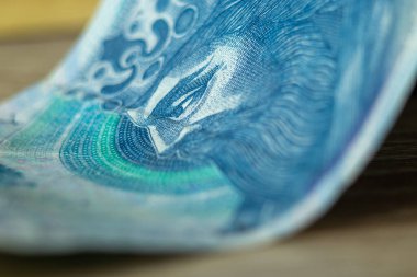 Polonya 'nın ortaçağ kralı. Kral Kazimierz 'in (Casimir) portresi Polonya bankacılığı üzerine