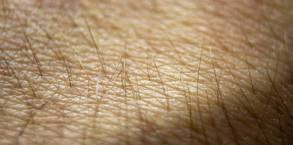 マクロな人間の皮膚の質感 皮膚科のパターン 概要健康な皮膚 — ストック写真