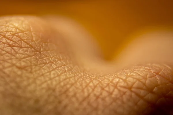 Makro Menschliche Haut Textur Dermatologisches Muster Abstrakte Gesunde Haut — Stockfoto