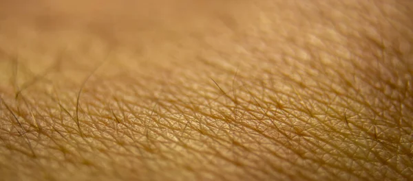 Makro Egészséges Emberi Bőr Bőrgyógyászati Minta Koncepció Szoros Emberi Bőr — Stock Fotó