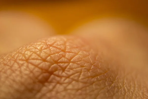 Makrozdrowa Ludzka Skóra Koncepcja Wzorca Dermatologii Zbliżenie Tła Ludzkiej Skóry — Zdjęcie stockowe