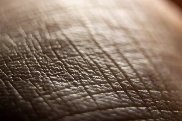 マクロスキンパターンを閉じます 健康な人間の表面 詳細な手の皮膚 裸の皮膚科のテクスチャ — ストック写真