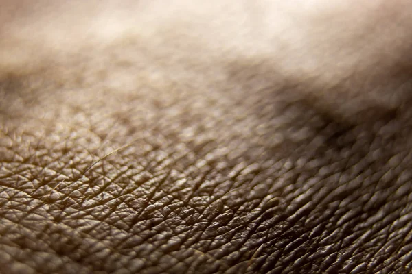 Närbild Makro Hud Mönster Hälsosam Mänsklig Yta Detaljerad Handhud Naken — Stockfoto