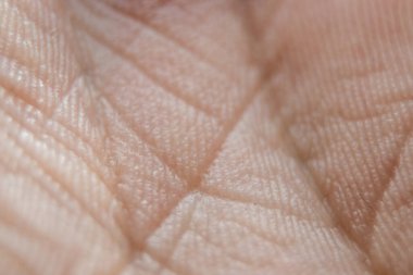 Elin iç kısmı. Makro insan derisi. Kalıplı insan vücudu