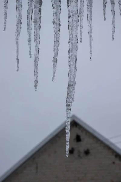 Winter season cold weather roof icicle. Close up icicles during winter.