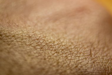 Macro human skin texture. Closeup skin pattern. Medicine healthy surface background. Dermatitis concept texture