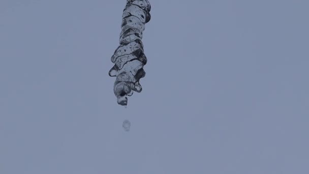 Close Icicles Water Dripping Melting Icicles Huge Icicles — Stock video