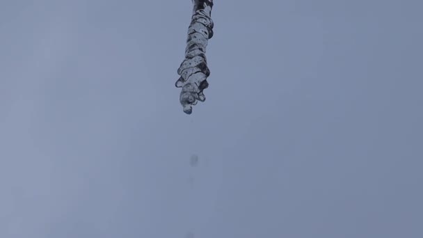 Close Icicles Water Dripping Melting Icicles Huge Icicles — ストック動画