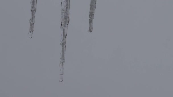 Close Icicles Water Dripping Melting Icicles Huge Icicles — 图库视频影像
