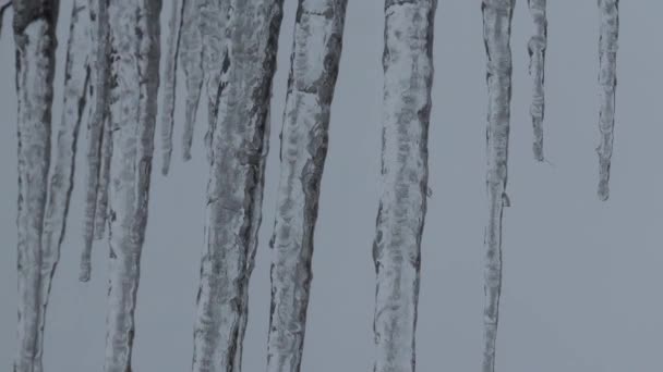 Close Icicles Water Dripping Melting Icicles Huge Icicles — Stok video