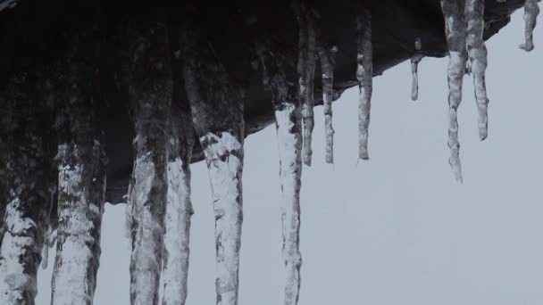 Close Icicles Water Dripping Melting Icicles Huge Icicles — 비디오