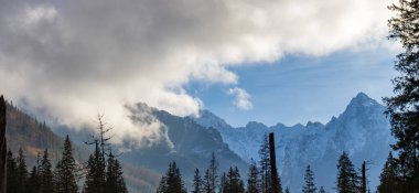 Winter mountains in Tatra Mountains Zakopane, Poland.  Landscape of snow covered pine trees and mountain peaks on a cloudy winter day 