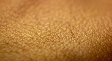 Macro human skin texture. Closeup skin pattern. Medicine healthy surface background. Dermatitis concept texture