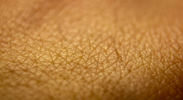 Macro Human Skin Texture Closeup Skin Pattern Medicine Healthy Surface — Zdjęcie stockowe