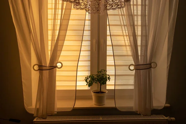 遮挡室内落日 在夏夜时分 透过透明的窗帘 把灯光透过窗户射进卧室 — 图库照片